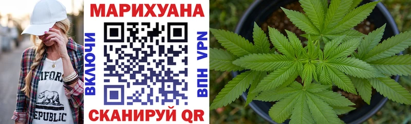 Конопля планчик  Южа 